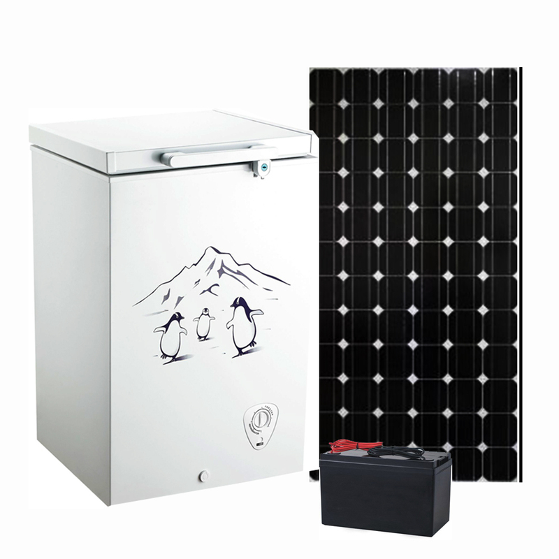 Africa Popular Model Beverage Cooler Ice