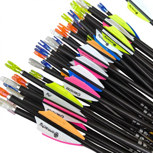 Lot De 12 Flèches De Tir à L'arc En Carbone Pur - Diamètre 4,2 Mm