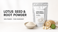 Fabricant OEM certifié HACCP, FSSC22000, GMP, fournisseur d'usine, poudre de racine de lotus pure, extrait d'herbes, 100% qualité alimentaire