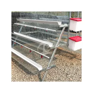 China Pullet Chicken Coop A Type Pullet House Sample Available 400*400mm Working Area Cages For Pullet And Layer