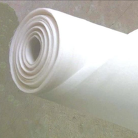 Toile filtrante tissée en nylon haute résistance pour la séparation solide-liquide, toile filtrante en nylon de précision pour la filtration de l'or