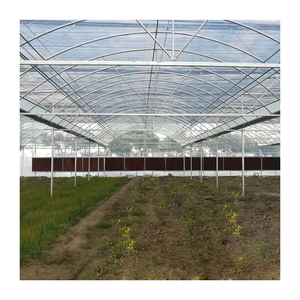 Serres agricoles multi-travées <span class=keywords><strong>en</strong></span> acier galvanisé avec film PE pour la culture <span class=keywords><strong>de</strong></span> fraises <span class=keywords><strong>en</strong></span> <span class=keywords><strong>gros</strong></span> - Product Image 1