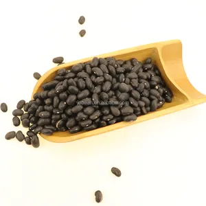 HPS Size 500-550 pcs 100g Organic Black Bean Sample High Quality Black Kidney Bean