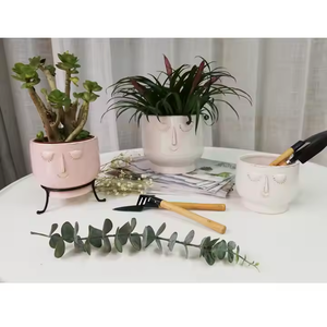 Vaso di fiori in ceramica per san valentino a forma di cuore con vaso per piante da tavolo - Product Image 4