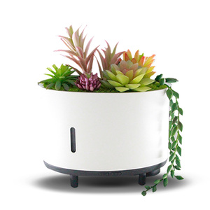 Ultrasuoni nuovo Design fiamma fuoco diffusore di aromi umidificatori altoparlante la musica BT simulare pianta artificiale LED diffusore di olio leggero - Product Image 5