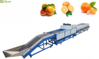 Efficiënte, voordelige, industriële, multifunctionele 304 roestvrijstalen mango sorteermachine, groente- en fruit sorteermachine, schilmachine
