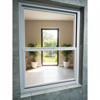 American Standard Fenêtres à guillotine double moderne à double vitrage coulissant en alliage d'aluminium Construction verticale en acier pour la maison