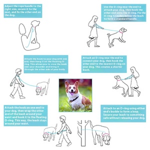 Correa de perro de nailon multifuncional de lujo de gama alta, moda de colores degradados para correr al aire libre sólida para llevar mascotas, venta al por mayor - Product Image 3