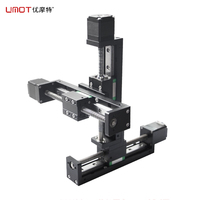 UMOT Mini système d'actionneur croisé de rail de guidage linéaire électrique à courant continu de haute précision de 150mm avec module de mouvement de vis à billes en T de moteur pas à pas