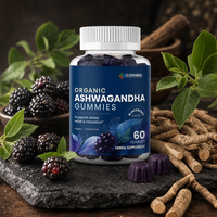 Gummies d'Ashwagandha Personnalisées OEM/ODM sous Marque Privée, 60 Unités, Saveur Mûre, avec Support de Documentation Qualité et Contrat