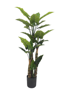 พืชเขตร้อนตกแต่งในร่มพืชเทียมมูซาบาสจูบานา - Product Image 6