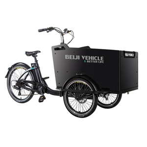 Tricycle électrique familial de style <span class=keywords><strong>danois</strong></span>, vélo <span class=keywords><strong>cargo</strong></span> à café, deux places, tricycle adulte - Product Image 3