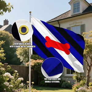 Banderas del Orgullo de 3x5 pies, Colección de más de 20 identidades, incluyendo Bisexual, Asexual, No Binario, <span class=keywords><strong>Bear</strong></span> y Bandera del Arcoíris del Progreso para Desfiles - Product Image 6