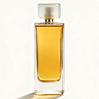 Flacon de parfum rectangulaire en verre transparent personnalisé de 100 ml avec bouchon métallique, impression sérigraphique, vaporisateur à pompe, compatible avec les diffuseurs à roseaux, vide