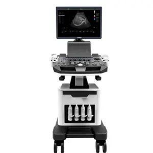 Veterinary Ultrasound For Pet Animals Cat Dog Portable Laptop Type Veterinary Ultrasound Scanner Machine