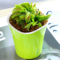 Pot de fleurs carré en plastique PP, écologique et durable, idéal pour la décoration de la maison et du jardin, marque Youfeng, modèle YF-A020, vente en gros.
