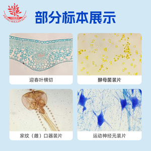 70 types de diapositives de biologie pour les collèges, émis à l'échelle nationale et sous la responsabilité du ministère, conformes aux normes professionnelles - Product Image 4