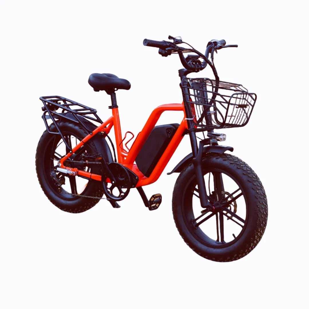 Bici elettrica della sporcizia con motore Brushless 1000W, Mountain Bike elettrica 48V 16Ah, Cargo Ebike a lungo raggio
