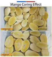 Automatische Hoge-Efficiëntie Mango Pitverwijderingsmachine 304 RVS CE ISO Gecertificeerde Fruitverwerkingsmachine