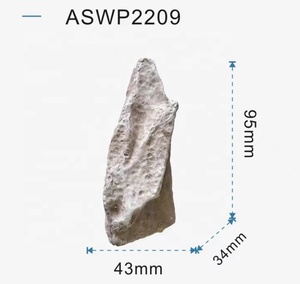 A.S. <span class=keywords><strong>Aquarium</strong></span> <span class=keywords><strong>Aquarium</strong></span> Landschapsarchitectuur Aswp25a Decoratief Stenen Paludarium Landschapsontwerp - Product Image 3