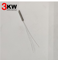 Sensor Suhu Resistor Termistor Platinum Miniatur Grosir PT100 Pt1000