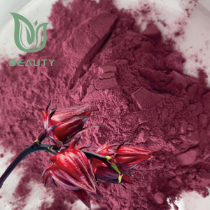 ורוסל אורגני אבקת היביסקוס sabdariffa תה/משקה שאינו gmo טבעוני כיתה כיתה אבקת משלוח חינם בתפזורת הסיטונאי - Product Image 4