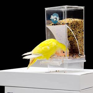 Mangeoires à oiseaux en PP imperméables en gros, bols en plastique solides, logo personnalisé, mangeoire pour animaux de compagnie - Product Image 1