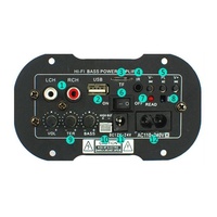 Taidacent — amplificateur de basses HI-FI 12V 24V 220V, puissance 40 w, télécommande USB, pour voiture, panneau d'amplification TDA2009
