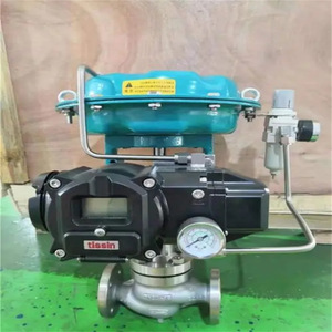 Vanne à boisseau sphérique Iron Forest Tissin avec positionneur TS900 et réducteur de pression avec filtre Fisher 67C - Product Image 3