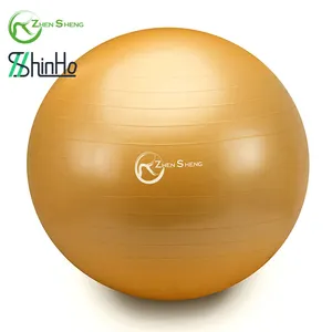 Zhensheng High Quality Sporting Goods Anti Burst Balance Fitness Gym Ball For Yoga