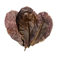 Daun Almond India untuk Akuarium, Penurun PH, Pengkondisi Air Antibakteri untuk Arowana, Ikan Cupang, Penyehat Warna, Ukuran 15-25cm