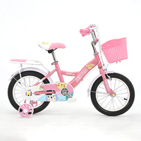 Vélo Enfant Princesse Rose Traditionnel à Vitesse Unique avec Jantes en Acier – Nouveauté Promotionnelle pour Filles et Bébés