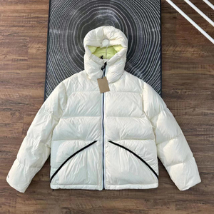 Chaqueta de Plumón de Diseño de Lujo de Moda 2025, Chaqueta Cortavientos con Capucha para Hombre y Mujer, Ropa de Invierno - Product Image 5