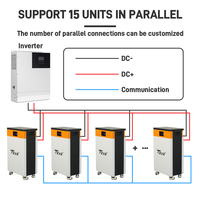Batterie au lithium-ion Lifepo4 TEZE Home ESS 16kWh 15kWh 10kWh 5kWh, système d'alimentation solaire mural 24V 48V 100Ah 200Ah 300Ah 314Ah