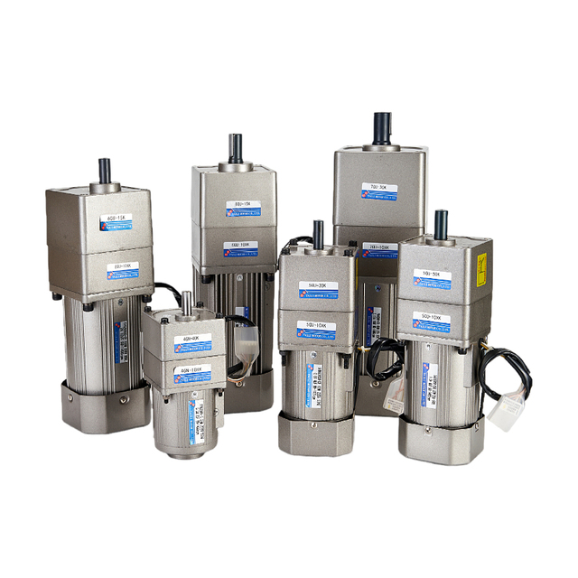 Low Speed High Torque Single Phase  110 Three Phase-220V AC Motors Electric Motors  Speed Control Motor