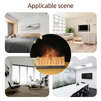 Humidificateur ultrasonique Pierced Botanical 100 ml contrôlé par application avec lumière de flamme