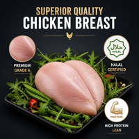 Pechuga de Pollo Congelada Halal al por Mayor, Filete de Pechuga de Pollo Congelada Sin Hueso y Sin Piel para Exportación, Aves de Corral IQF