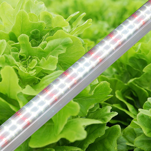 2025 mới chuyên nghiệp Quang phổ đầy đủ T5 dẫn phát triển Ống ánh sáng cho làm vườn & nhân bản thực vật - Product Image 4