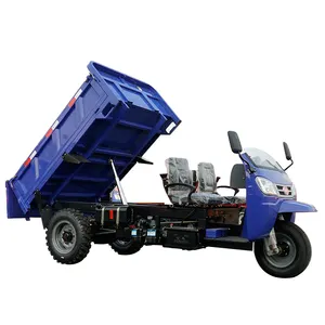 Machine diesel de tricycle de ménage à vendre Tricycles de cargaison 3 pneus benne basculante pour l'agriculture