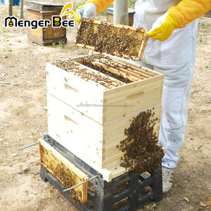 Cajas para Colmenas de Abejas Langstroth de 10 Cuadros, Kit Completo de Colmena que Incluye 1 Caja Profunda para Cría de Abejas y 1 Caja Mediana para Abejas Superiores - Product Image 2