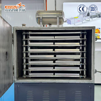 JIAXIN 25Kg IJs, Suikergoed, Koffie, Aardbei, Diepvriesfruit en -groente, Vloeibaar Huisdierenvoer Vacuümvriesdroogmachine