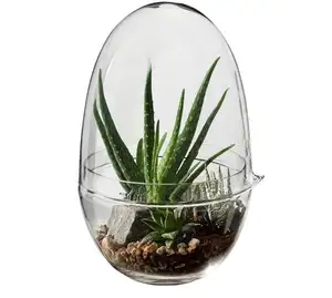 Vaso de vidro personalizado, vaso de vidro em forma de ovo, recipiente de flor, terrário hidropônico para plantas