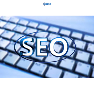 Empresa Líder en Servicios de Marketing Digital y SEO para Pequeñas Empresas - Versión Internet Estándar - Product Image 3