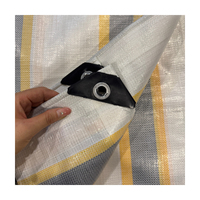 Bâches en poly transparent haute résistance 4X5M conceptions attrayantes entièrement protégées contre les UV pour une utilisation en extérieur-pour la serre de couverture de camping en toile