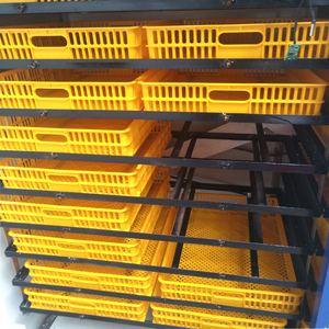 Chất lượng cao hoàn toàn tự động 1848 Setter gà lồng ấp trứng với hatcher <span class=keywords><strong>brooder</strong></span> - Product Image 3