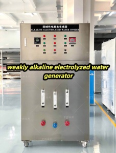 מכונת מים אלקליין מימן תעשייתית אוטומטית 1-3 טון PLC מזון רפואי אחריות לשנה 1000 ליטר/שעה - Product Image 2