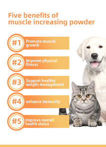 Complément Alimentaire Hypercalorique Personnalisé en Poudre de Protéines pour Chiens et Chats, pour le Développement Musculaire Canin et la Prise de Poids - Product Image 6