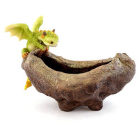 Oniya Rex le Dragon vert perché sur plante succulente Mini Figurine fantaisie à collectionner décoration de maison Pots de plantes