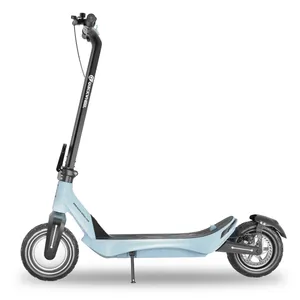 Wholesale Eswing-patinete eléctrico de tres ruedas para adulto, 500w, OEM,  3 unidades From m.alibaba.com