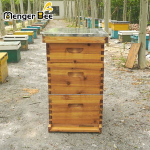Colmena Menger Bee US Local de madera de abeto de 3 capas, sin montar, tipo Langstroth, de 10 cuadros, con separador de abejas reina, 2 años de garantía, equipo. - Product Image 3